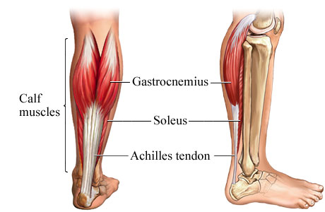 Achilles -tendon